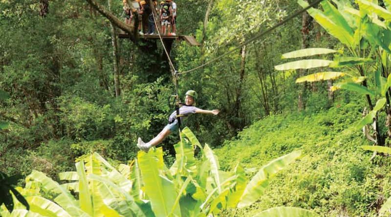 Conquering the Online Travel Jungle: A Guide to Finding the Best Deals