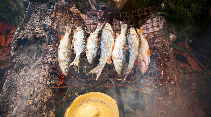 Camping Lunch Ideas: Delicious and Easy Recipes for Your Outdoor Adventures