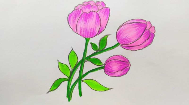 Drawing: Fl2f4jlbwv4= Flower – A Guide to Capturing the Beauty of Flowers in Art