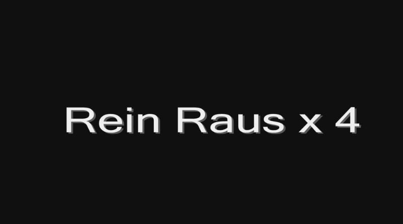 Rein Raus Lyrics An Analysis of Rammstein's Provocative Track