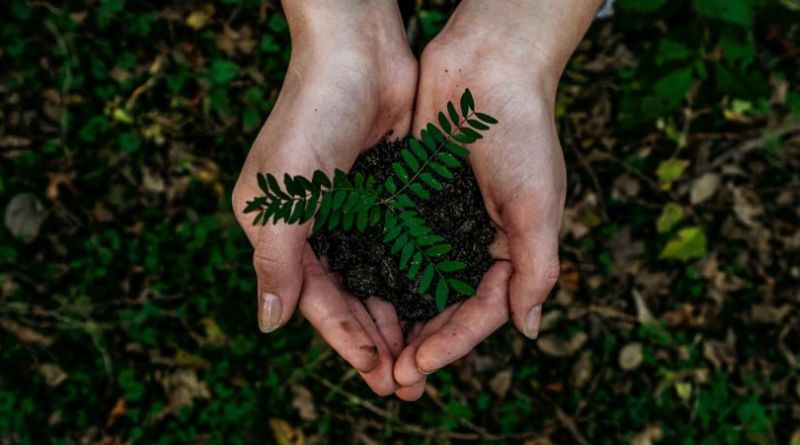 Silk and Snow: A Journey into Luxury, Craftsmanship, and Sustainability